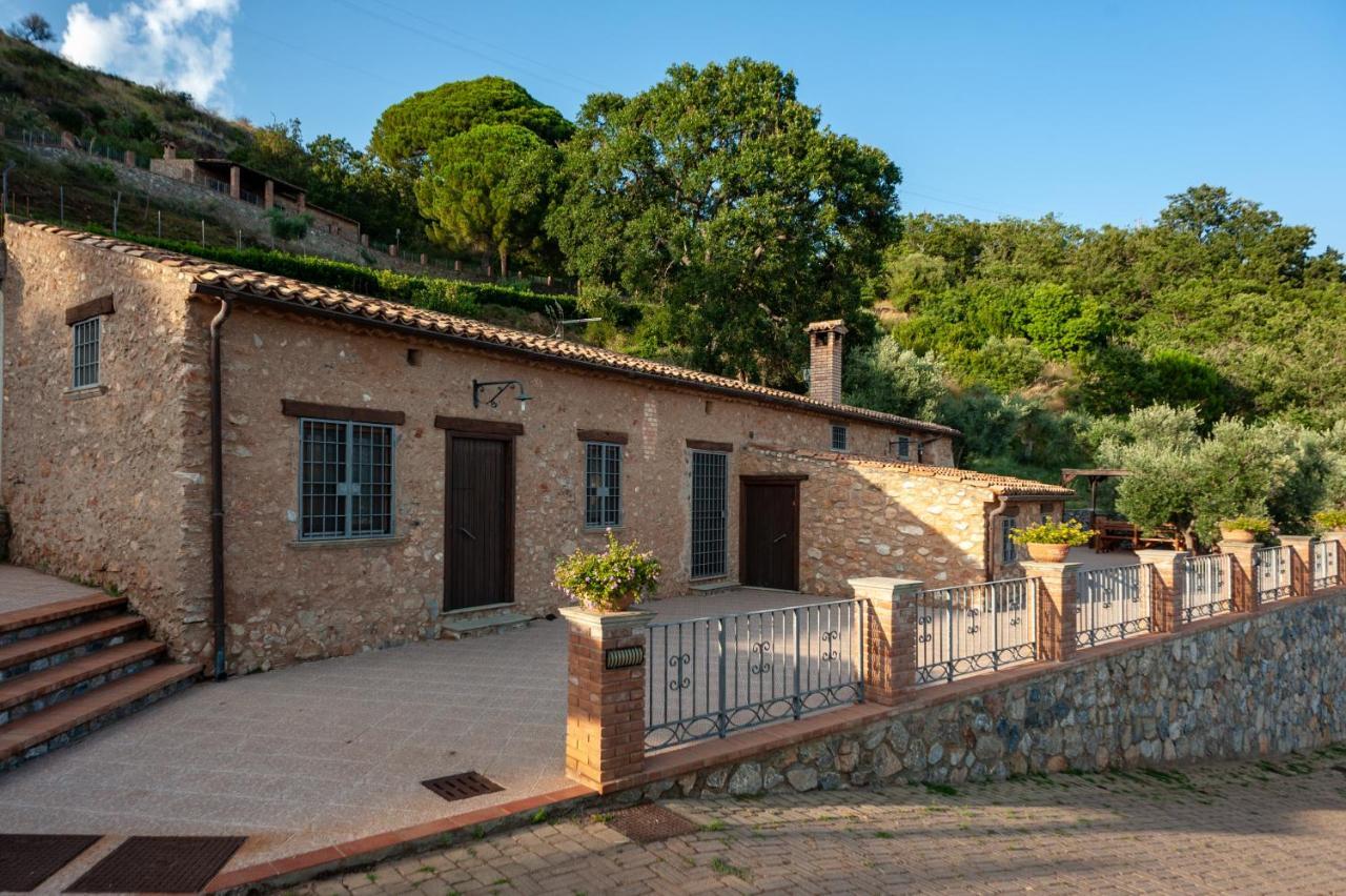 Azienda Agrituristica Le Terre Di San Leonardo チェトラーロ エクステリア 写真